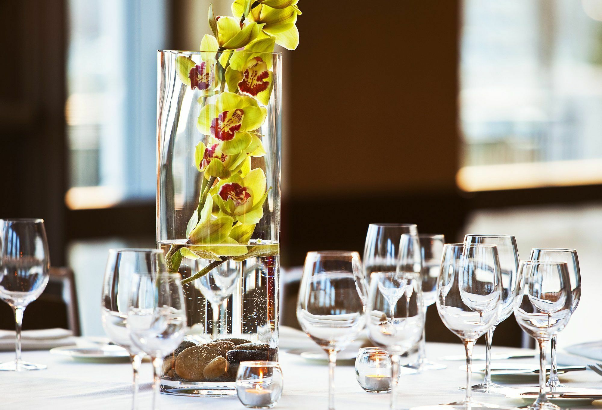 The Westin Chicago Lombard Hotell Eksteriør bilde